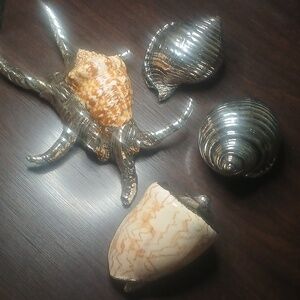 Two's Company Silver Metallic Shell and Starfish Accent Set